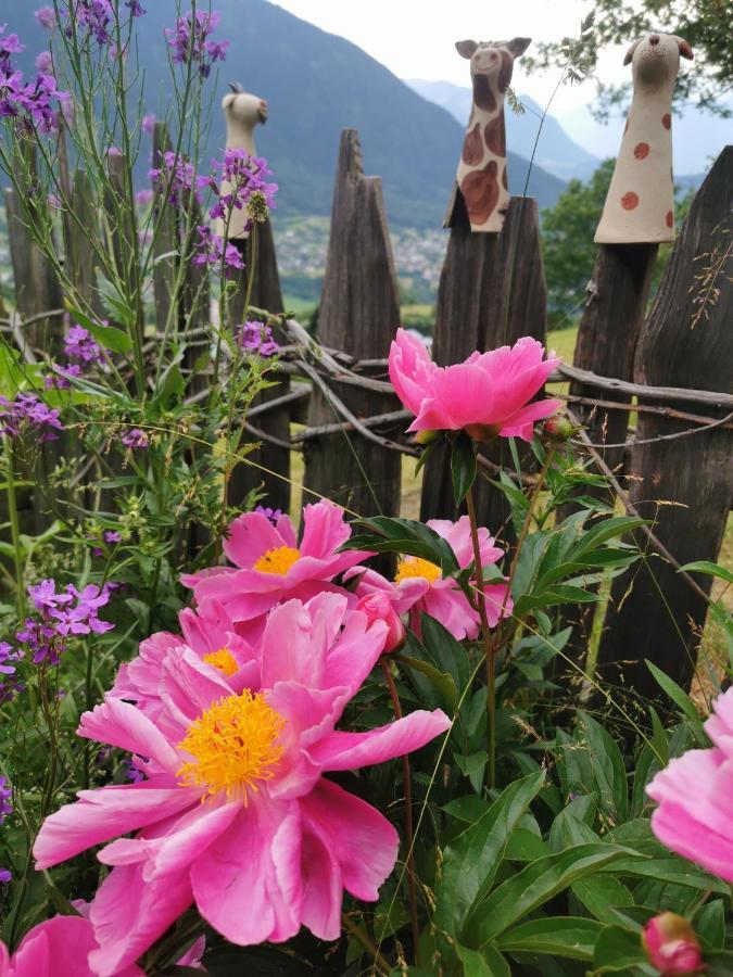 Wieserhof Tirol Oetz Zewnętrze zdjęcie